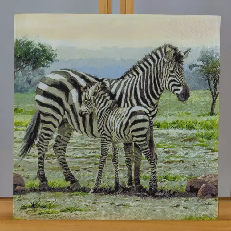 Zebra serviet