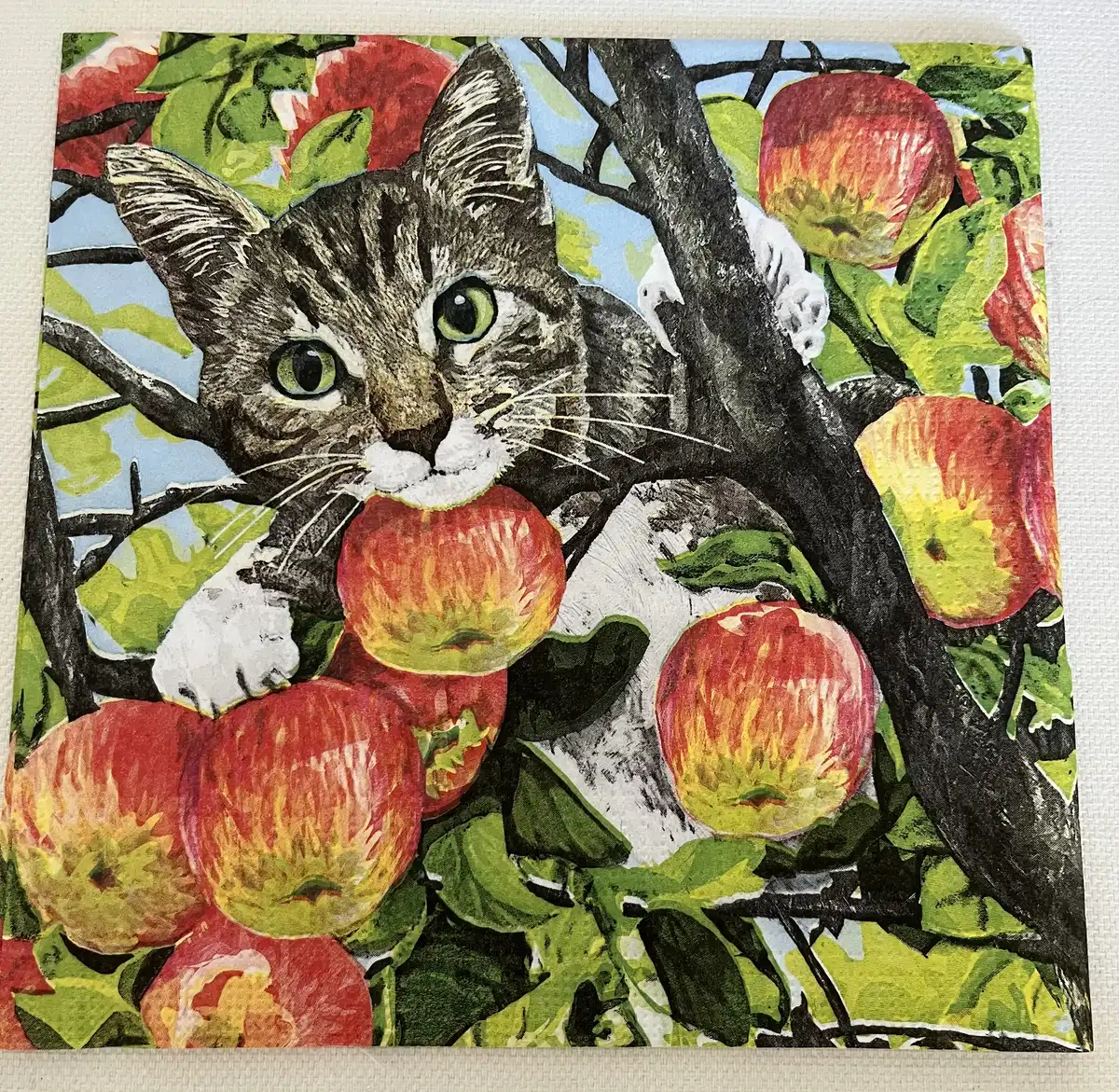 Katte serviet - 39